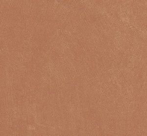 Anti-Slip Argillae Coral Rect 30X60 Tilefly