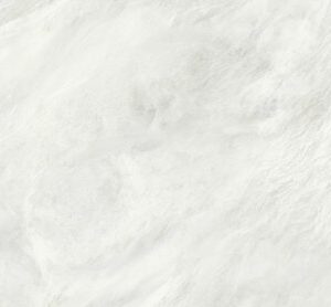 Alexandria White Matt Rect 60X120 Tilefly