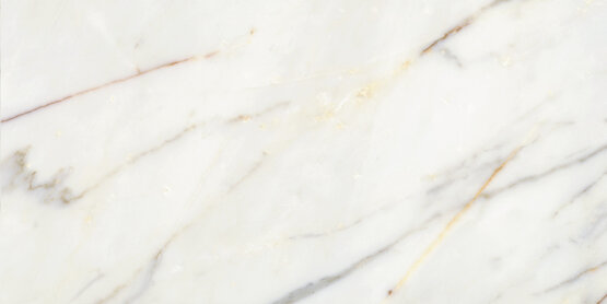 Calacatta Slow Pol Rect 60X120 Tilefly