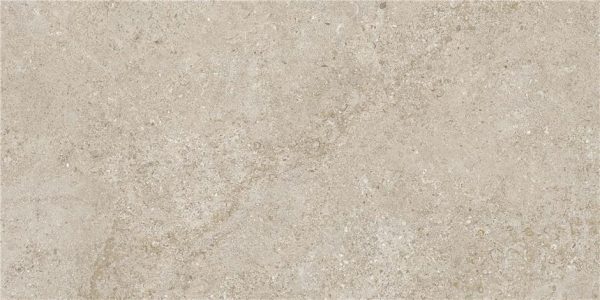 Arenite Natural Mt 30X60 Rect