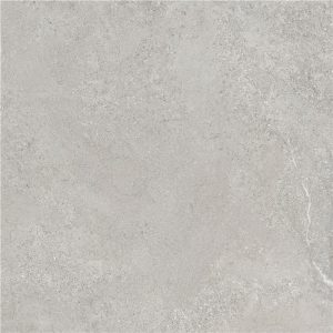 Arenite Grey Mt 100X100 Rect Tilefly