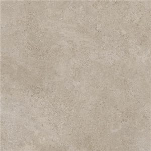 Arenite Natural Mt 100X100 Rect Tilefly
