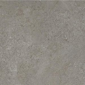 Arenite Dark Grey Mt 60X120 Rect Tilefly