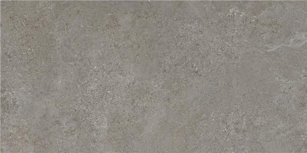 Arenite Dark Grey Mt 60X120 Rect