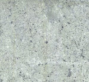 Anti-Slip Hijau Green 30X60 Tilefly