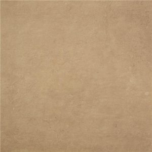 Pursue Terre Mt 60X60 Rect