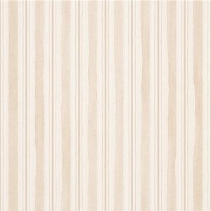 Phase Bv Warm Mt 30X60