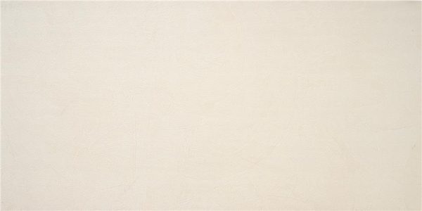 Phase Ivory Mt 60X120 Rect. 1A Stn (2 Pz Y 40 Cj) Tilefly